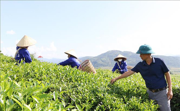 Báo Lạng Sơn