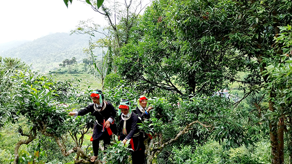 Báo Lạng Sơn