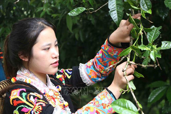 Báo Lạng Sơn