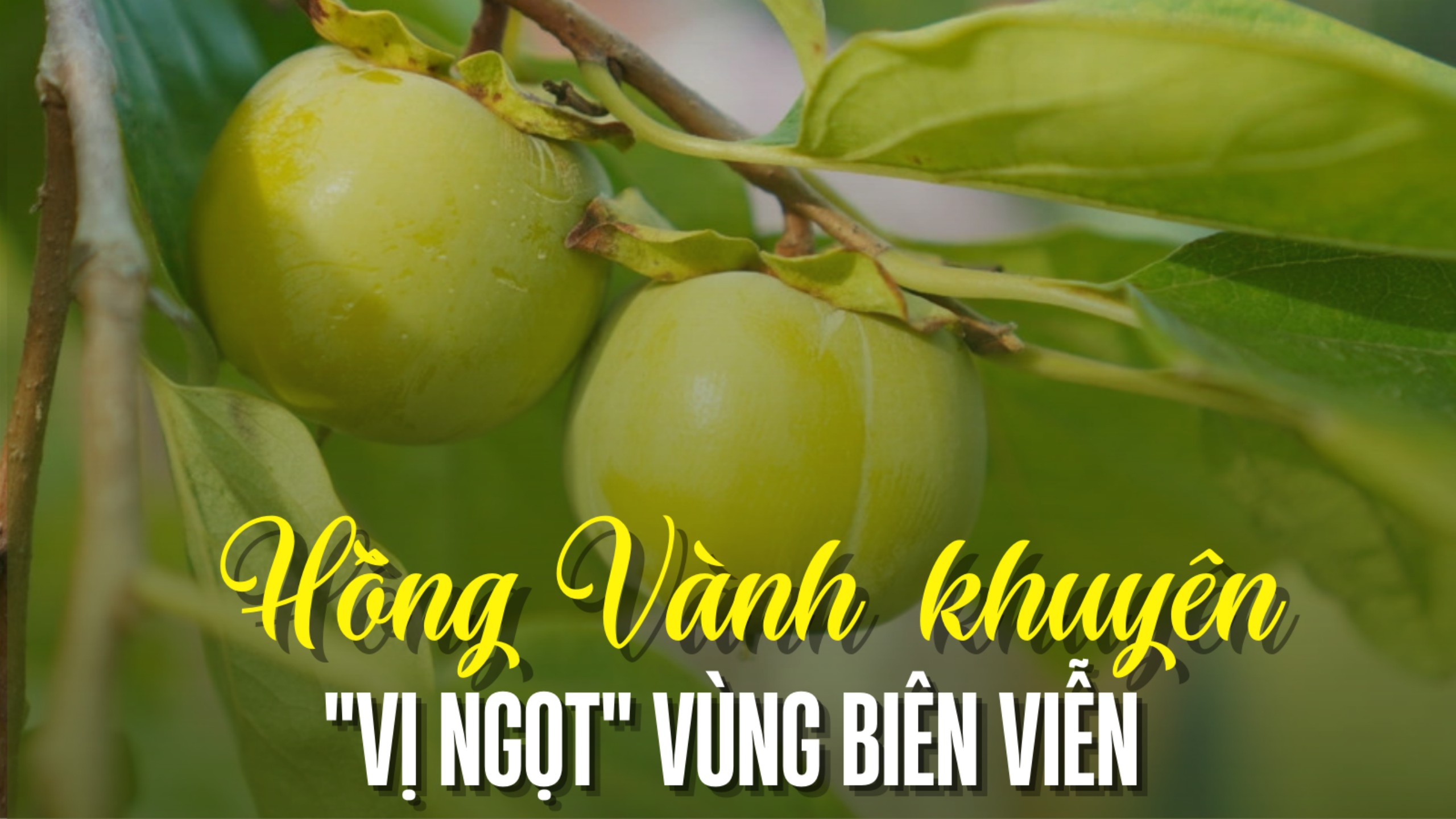 Báo Lạng Sơn