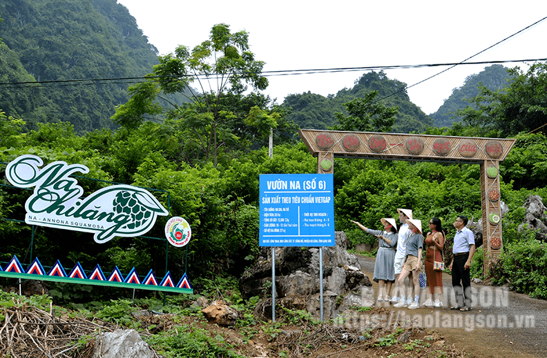 Báo Lạng Sơn