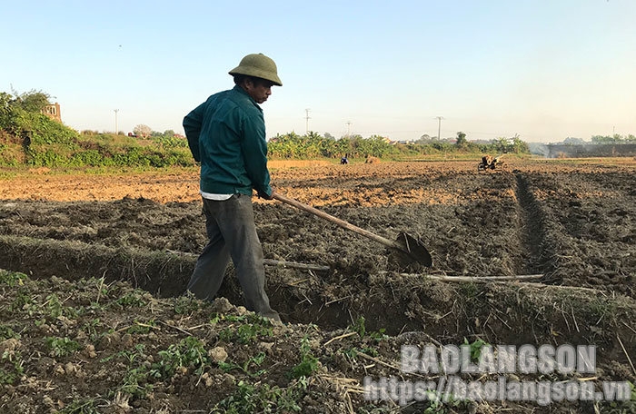 Báo Lạng Sơn