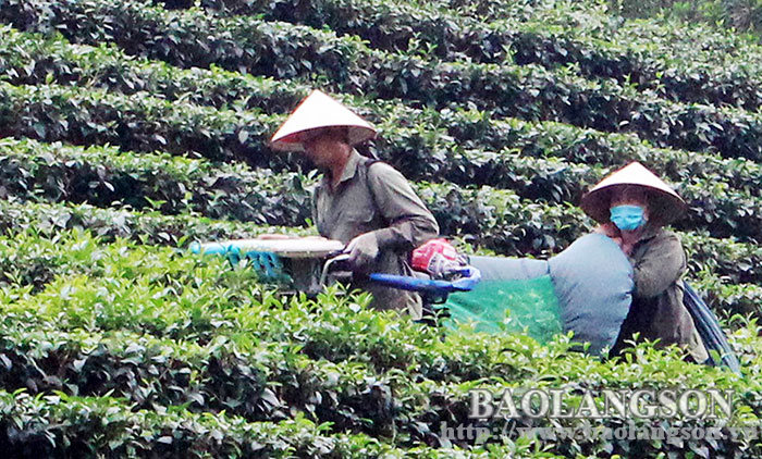 Báo Lạng Sơn