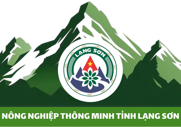 Thạch đen Đức Quý